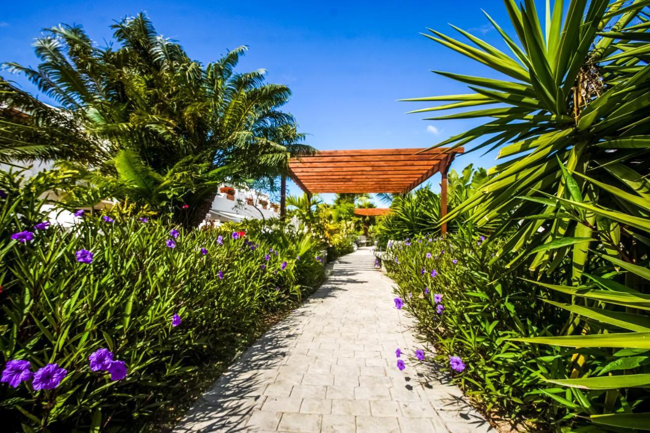 Parque Don Jose Apartment Costa Del Silencio Ngoại thất bức ảnh